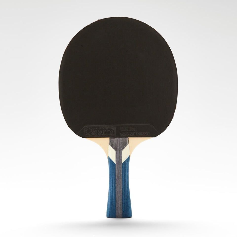 Stol tennisi raketkasi Pongori TTR100